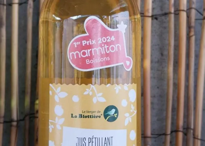 Chez Lyly et Juju Piscine&Sauna Calme 3chambres 3* Angers